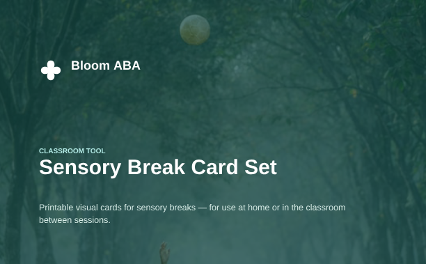 Sensory Break Card Set cover